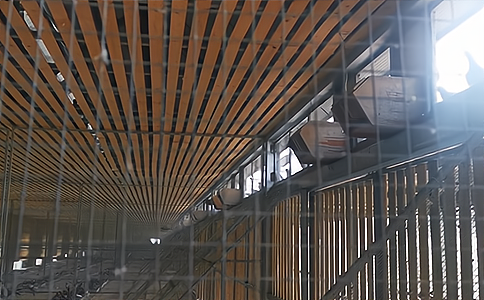 RFID閱讀器和定制高頻天線是如何在信鴿競賽中發(fā)揮作用的